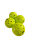 Pickleball - Premium Outdoor